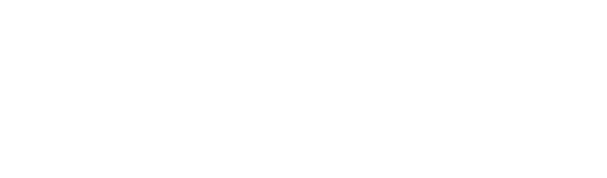 LeadOra Agency